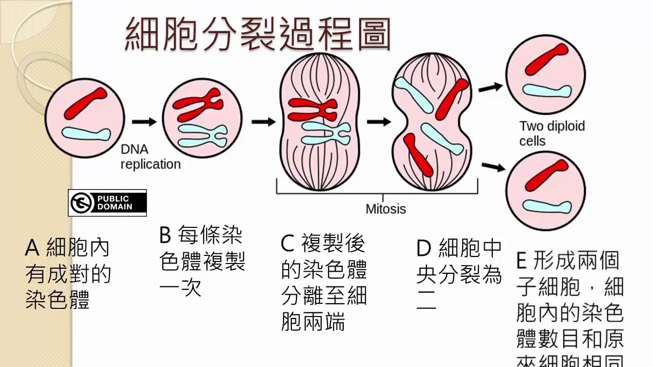 人类最多能活到几岁？科学家给出3个公式，算出人类寿命的极限值