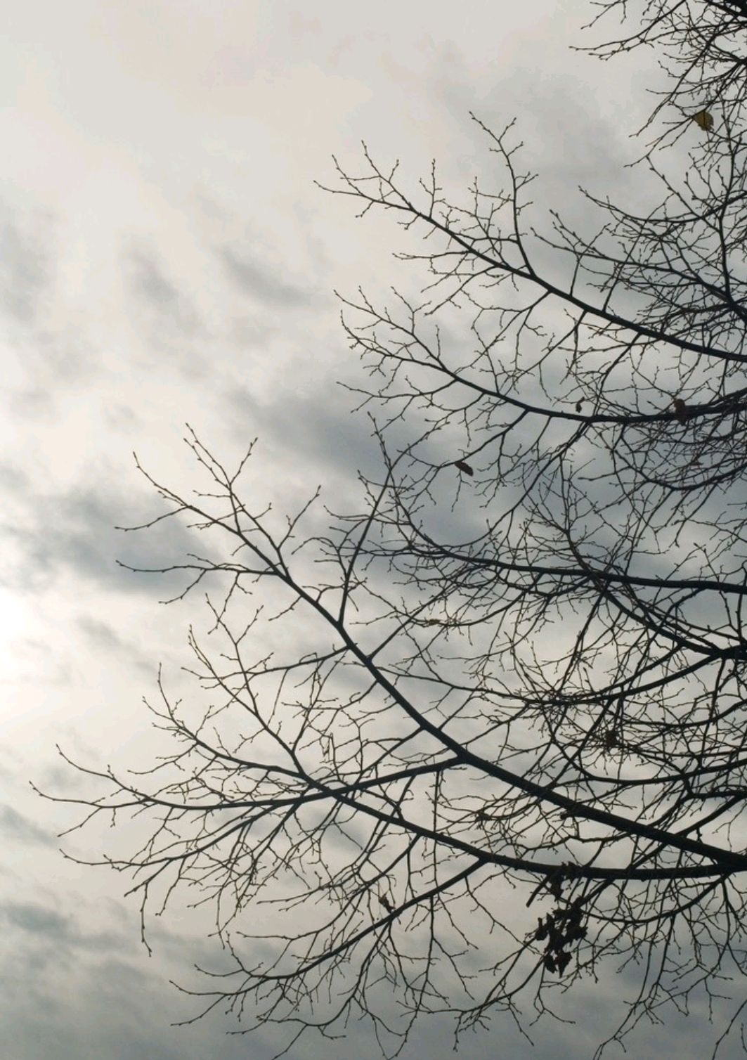 散文：心有阳光，必有诗与远方；心中有暖，何惧人生苍凉