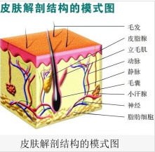 你还不知道什么是冻干粉吗？