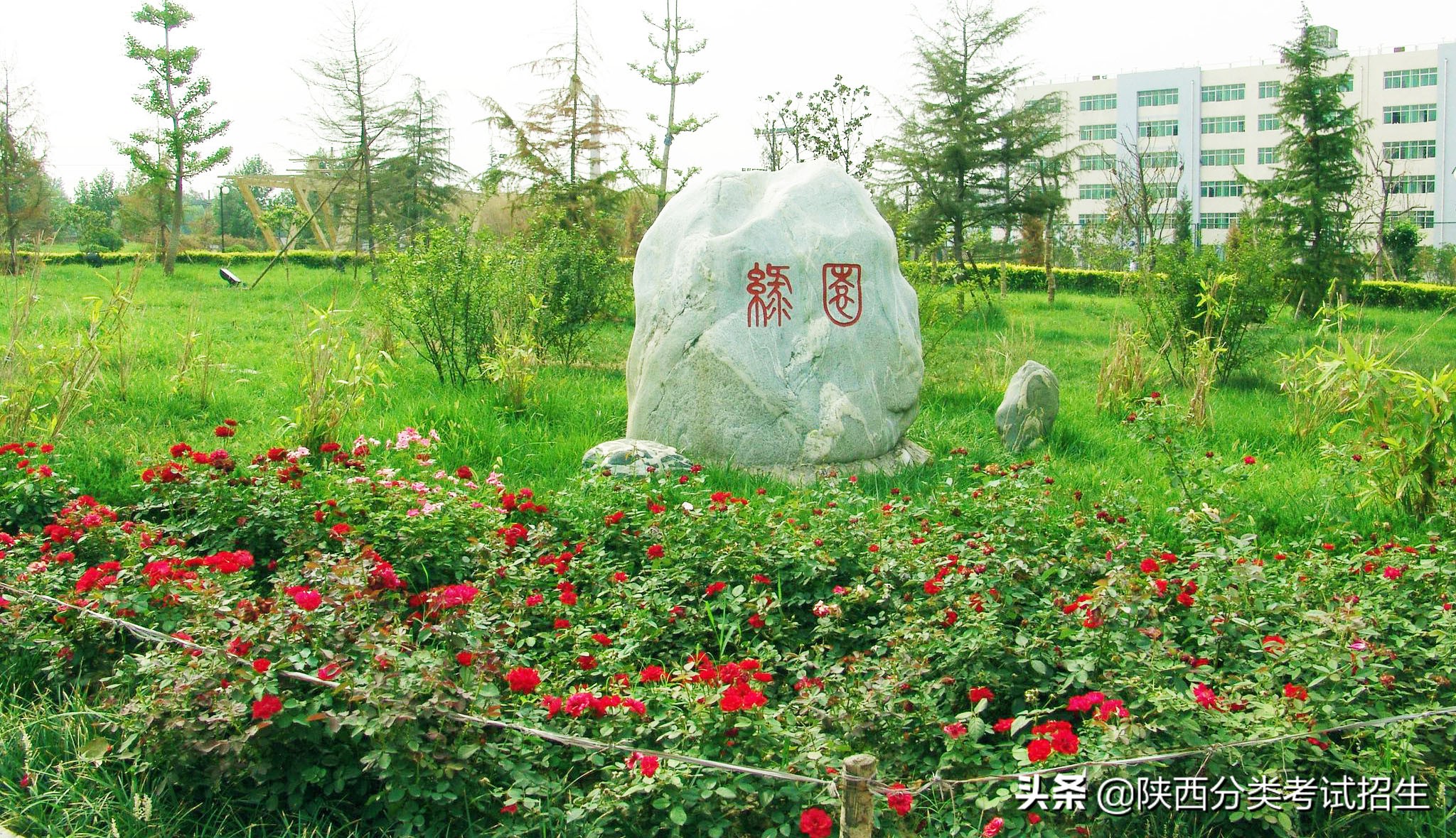 陕西工业职业技术学院2020年示范高职院校单独考试招生章程