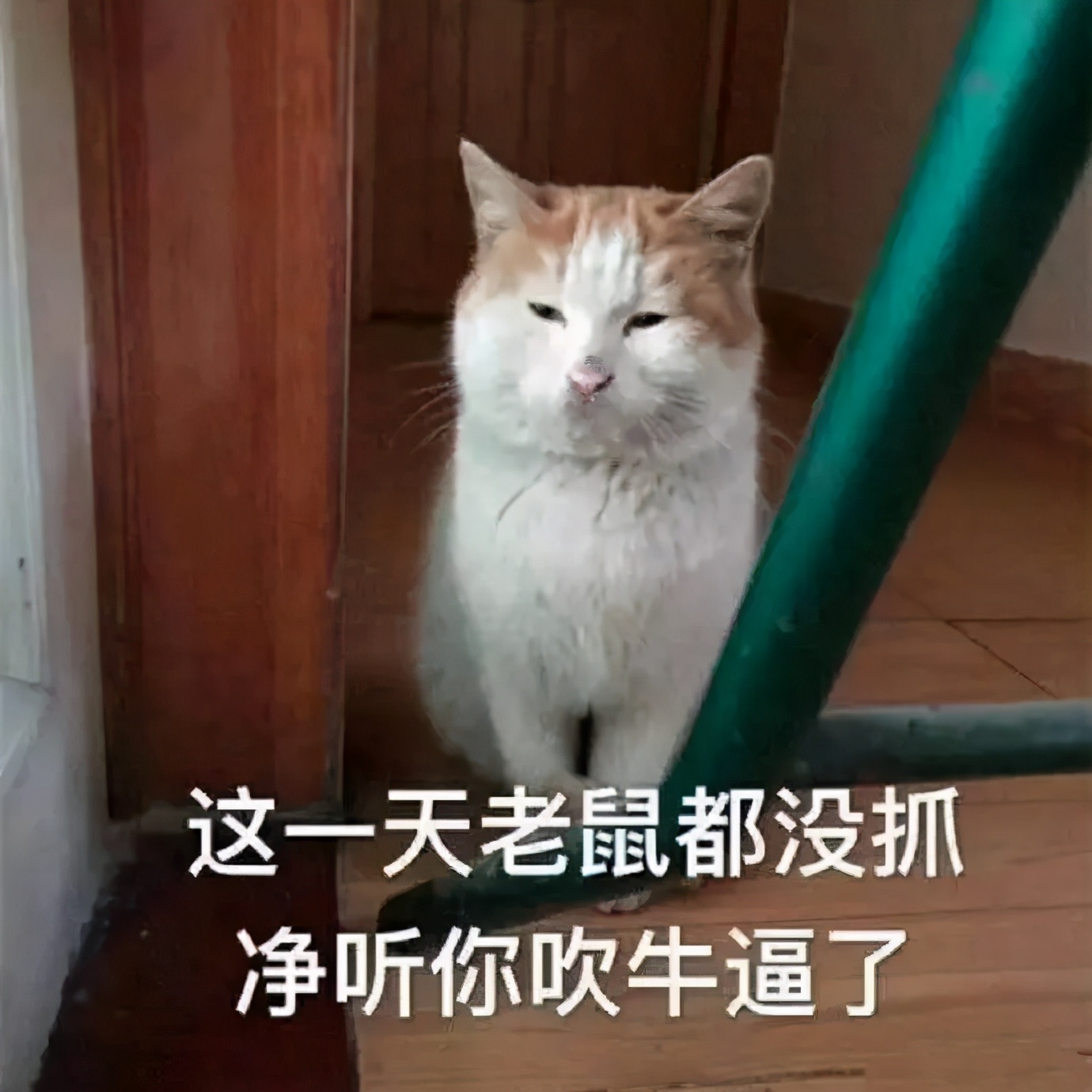 打错针或输错液发错药时该怎么处理,打错针或输错液发错药时该怎么处理面试