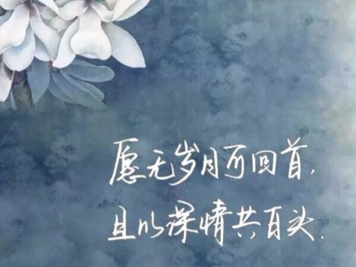 多少浅浅淡淡的转身，是旁人看不懂的情深