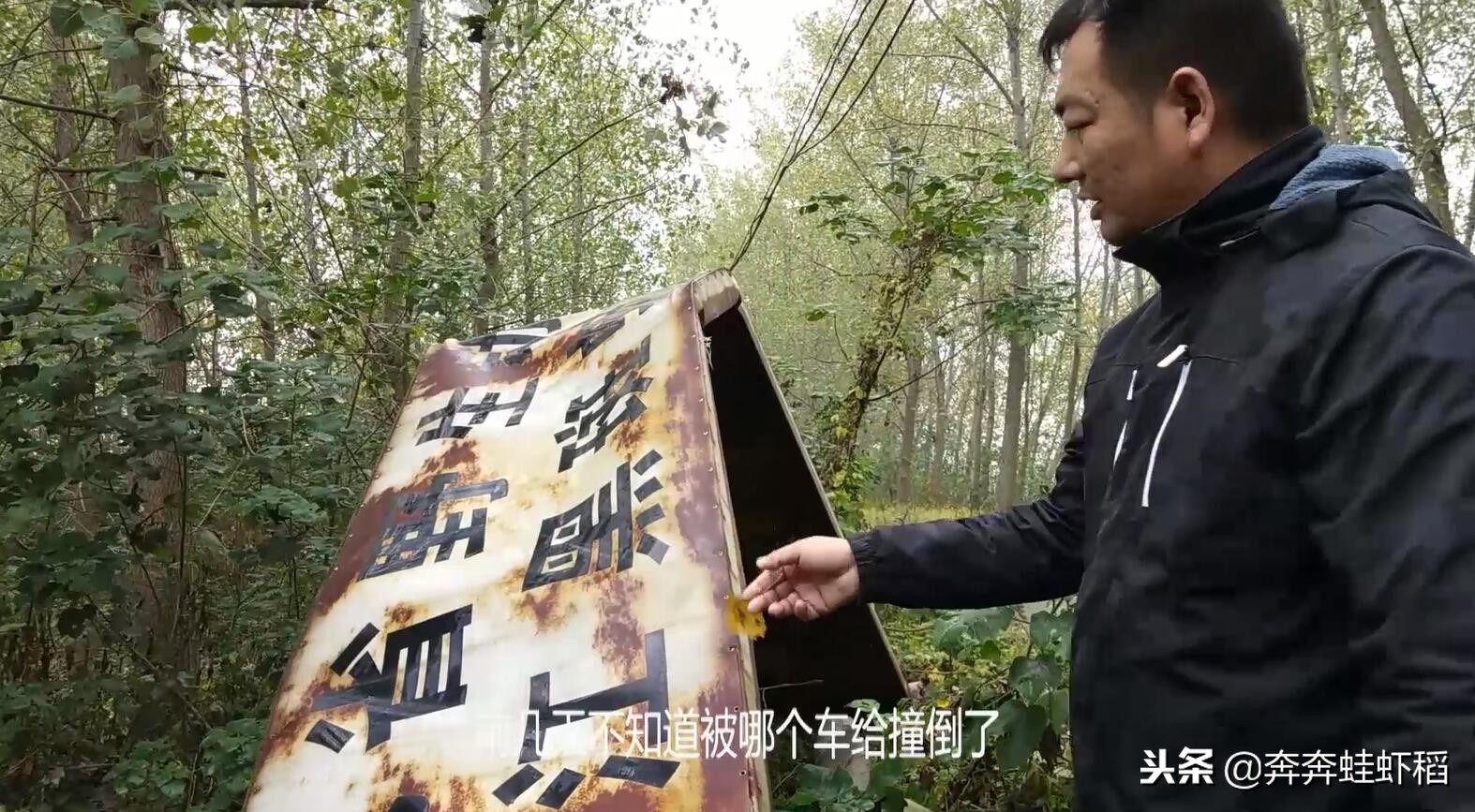 青蛙養殖成本,青蛙養殖一畝要多少錢