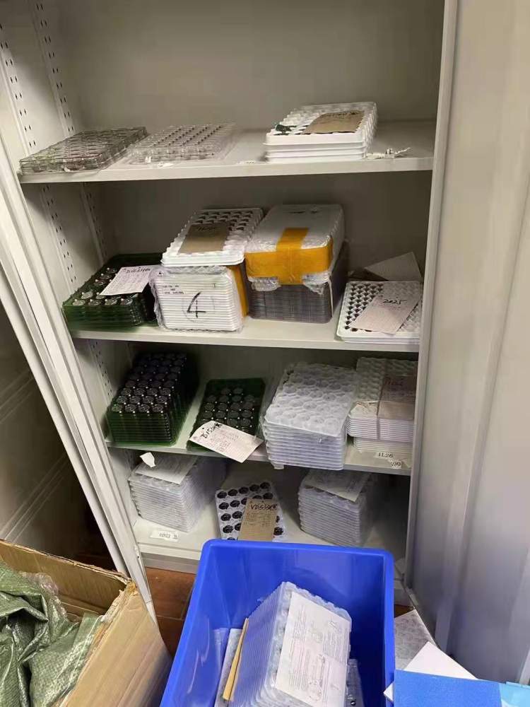 网上买到的低价阿玛尼手表，原来都在这里“手工”制作