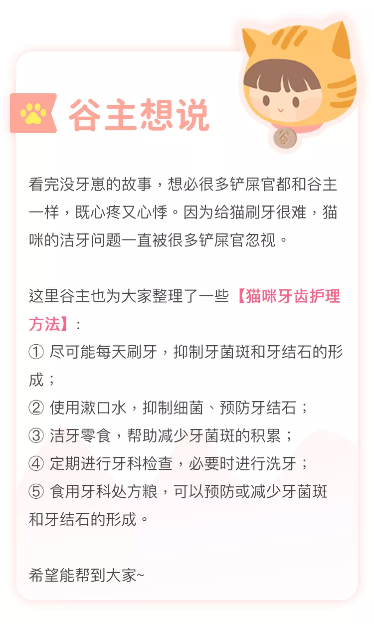 花了12000元拔光猫咪所有牙齿,只为让它活下去