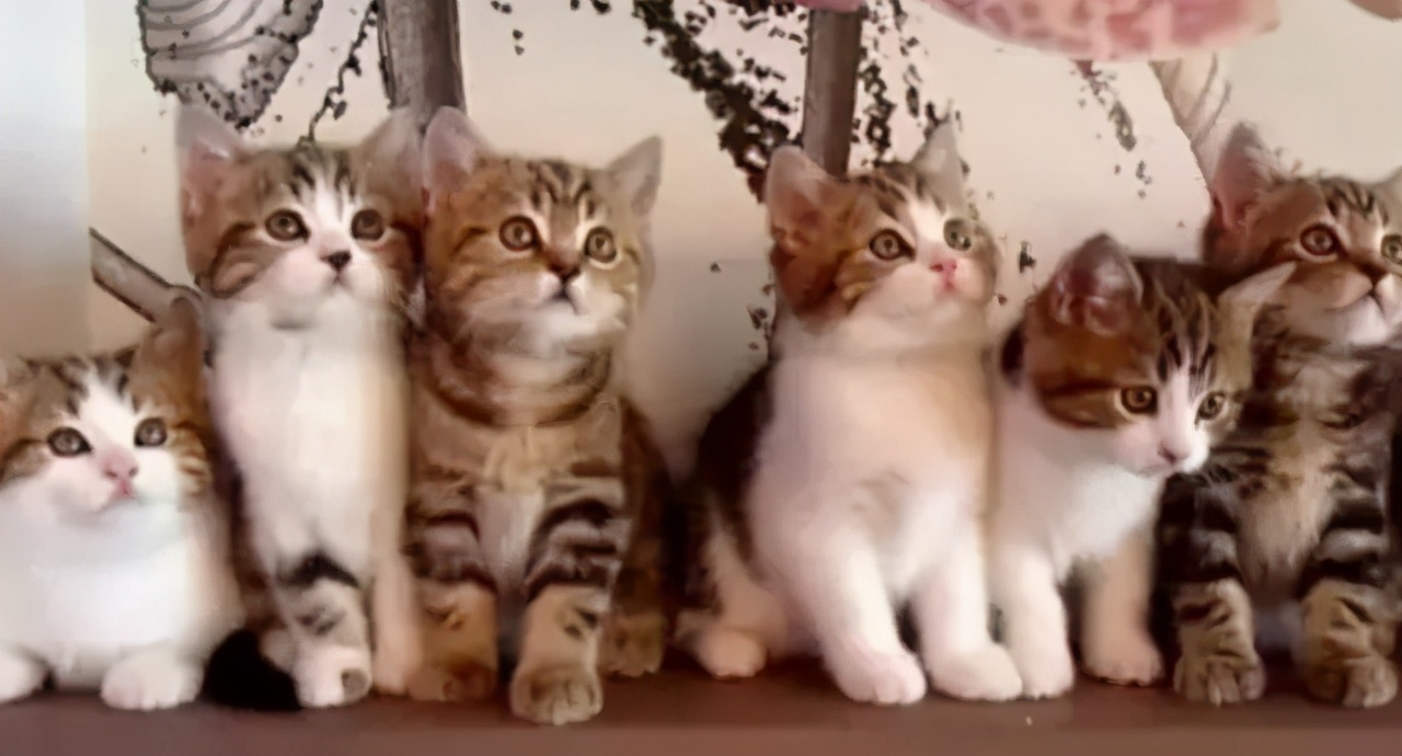 学会计的十大好处！一定要知道