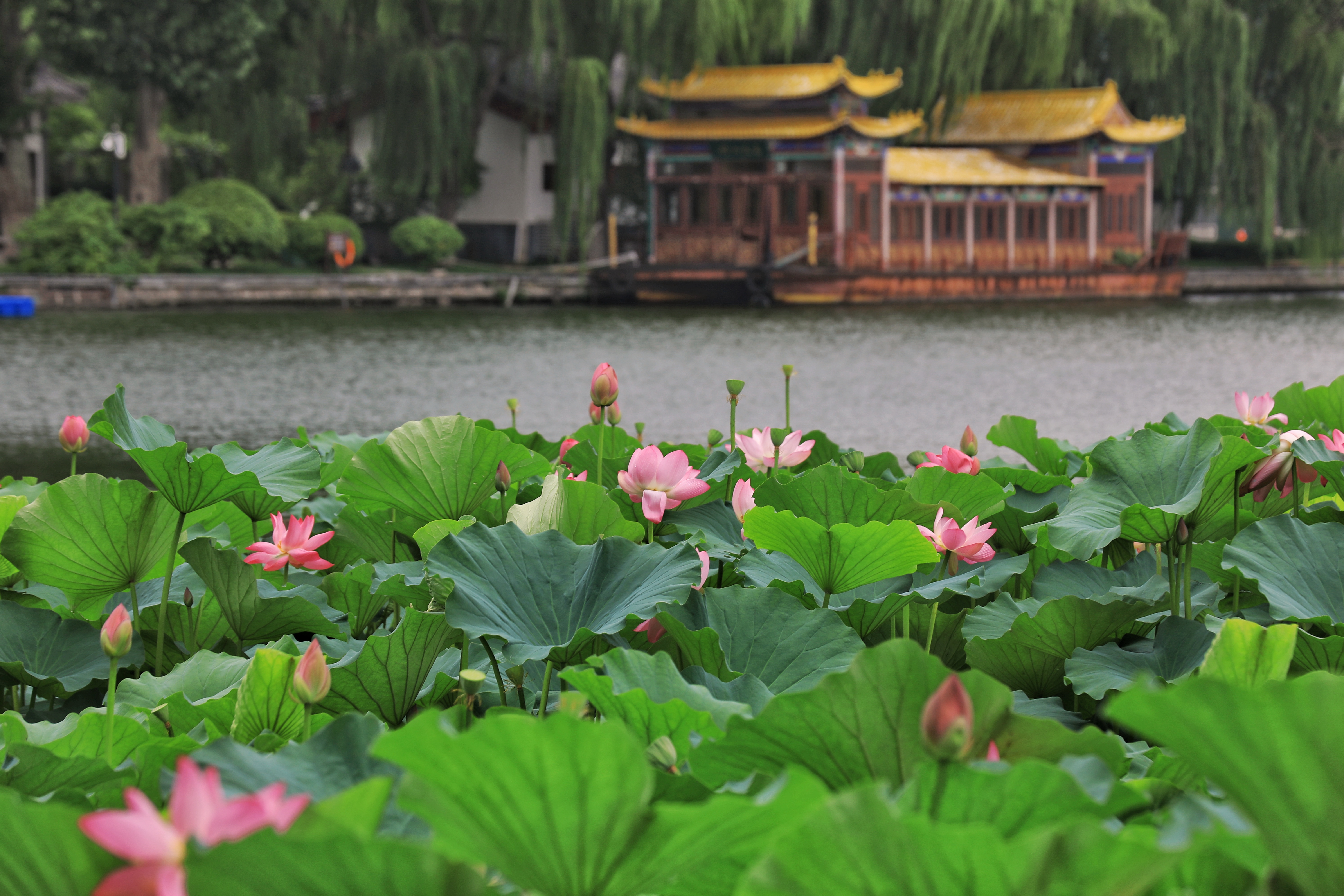 顾炎武旅居济南的日子，在泉水漫过的青石板路上留下了许多足迹