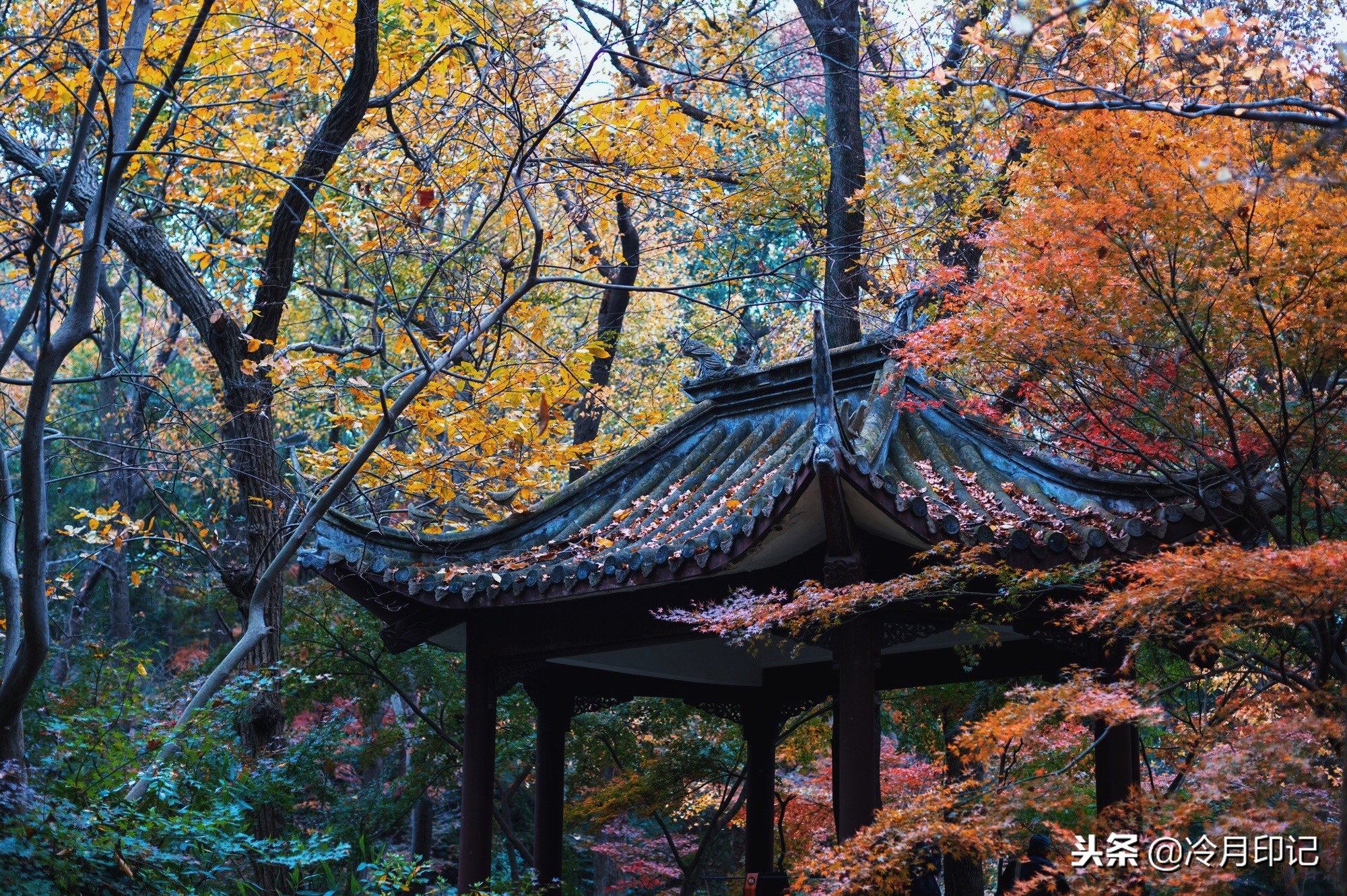 栖霞山，清乾隆帝笔下的“金陵第一明秀山”，中国四大赏枫地之一