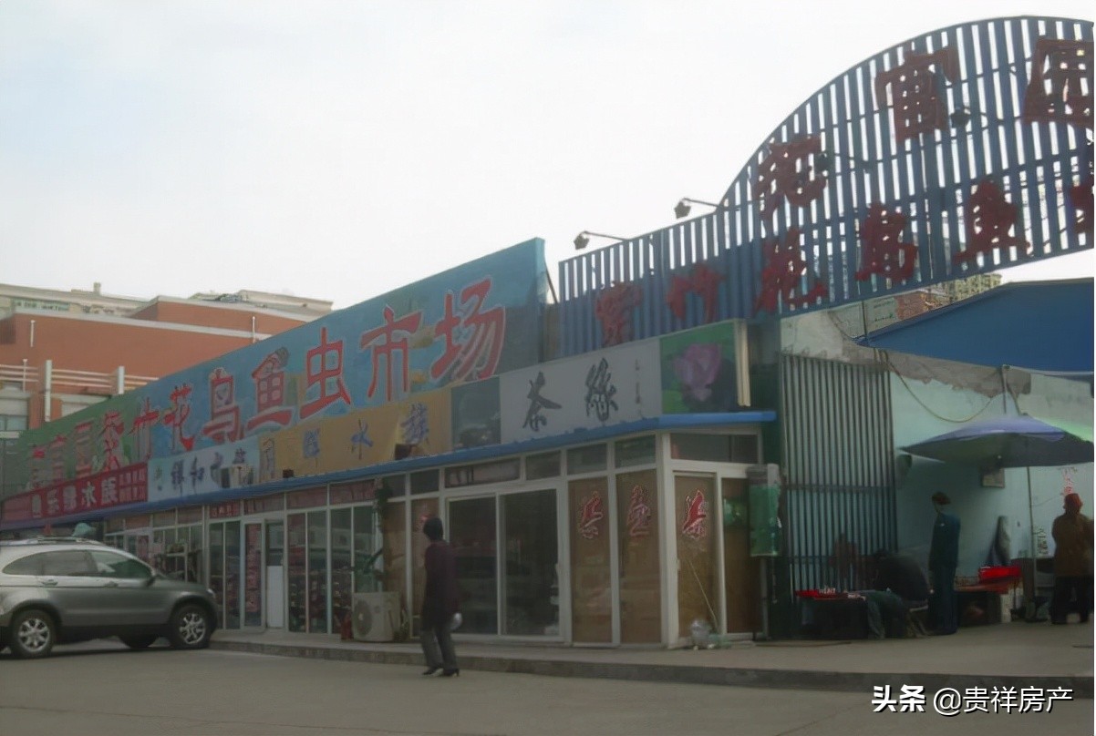 全国十大花鸟鱼虫市场，十里河花鸟市场上榜，第一全国规模最大