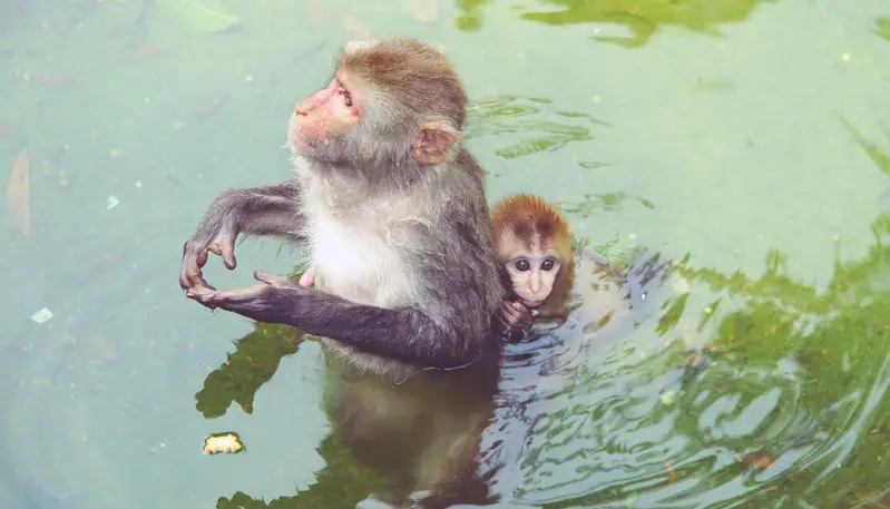 长隆欢乐世界旅游攻略景点必去（三天三夜欢乐长隆之旅）