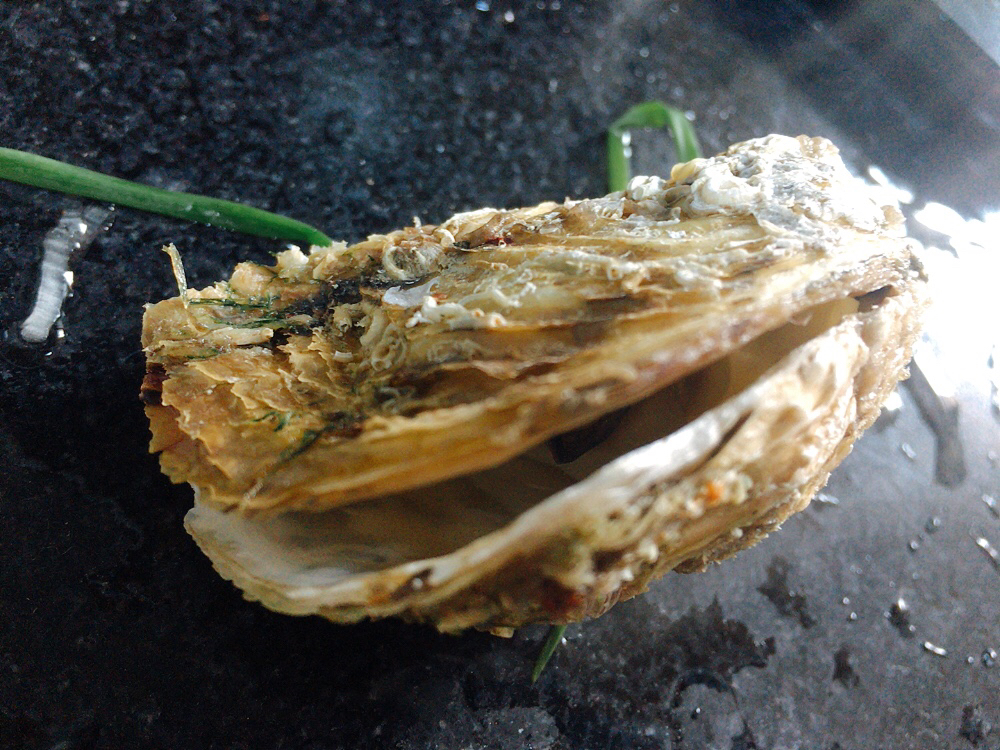 生蚝怎么开壳开壳清洗的视频教程