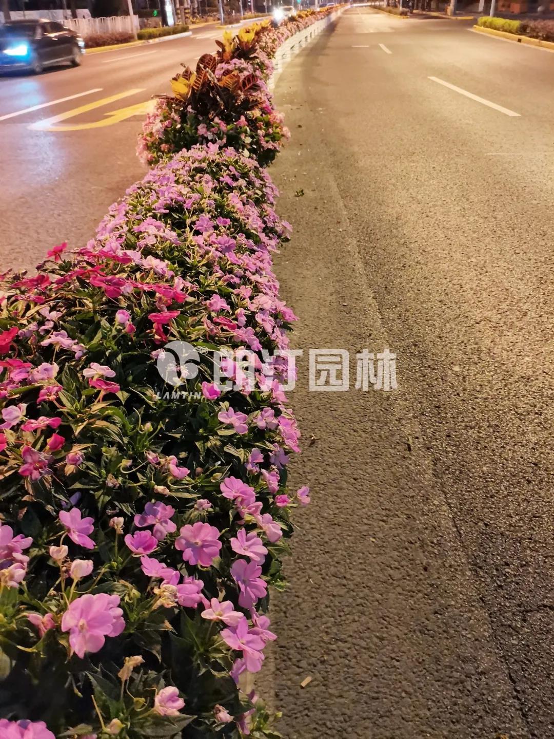 上海普陀区上新这么漂亮的道路，自驾感觉还不错