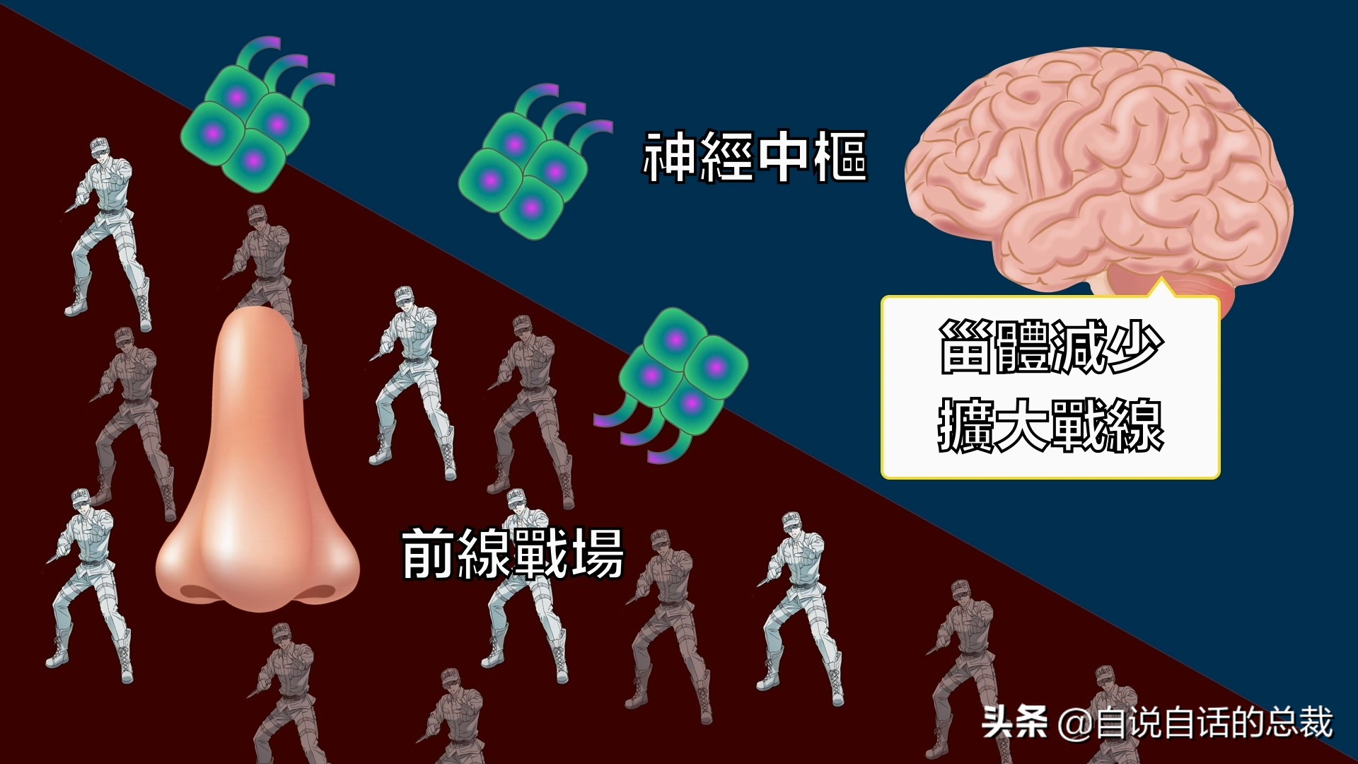 当你爆发过敏性鼻炎时，这就是你体内发生的故事