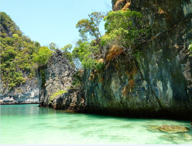 大连蛇岛是怎么成的?为何有那么多毒蛇,2万条毒蛇如何活下来?