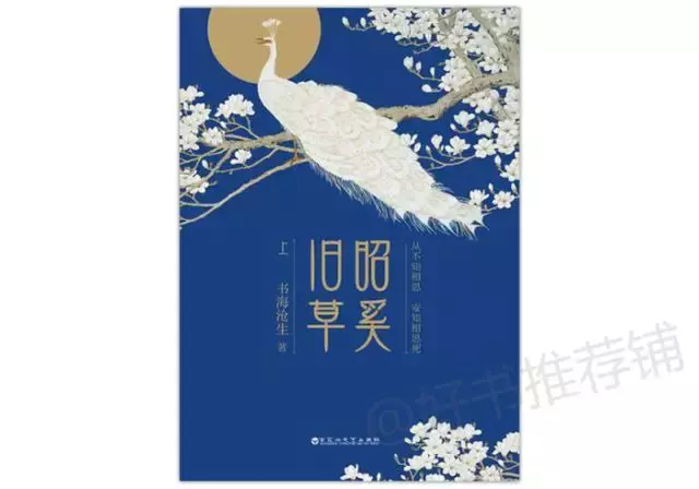超虐心肝脾肺肾！五本让人泪崩窒息的虐恋小说推荐