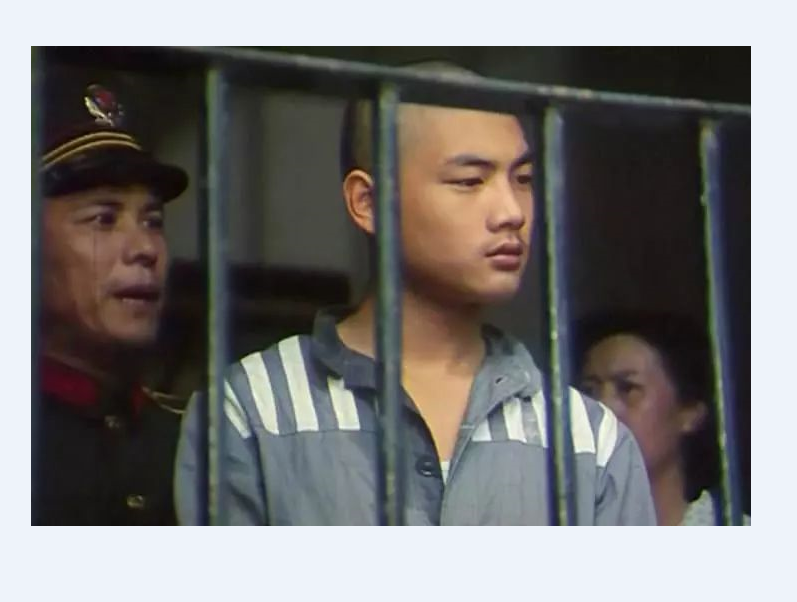 少年犯电影剧情解析「介绍」 _晶羽科技