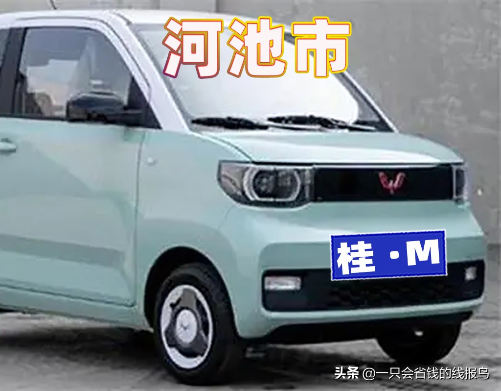 å¹¿è¥¿å£®æ—�è‡ªæ²»åŒºæ±½è½¦ç‰Œç…§å&shy;—æ¯�æ�’åº�