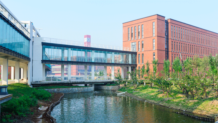 这些重点大学的分校区和本部文凭一样吗？志愿填报千万别想当然