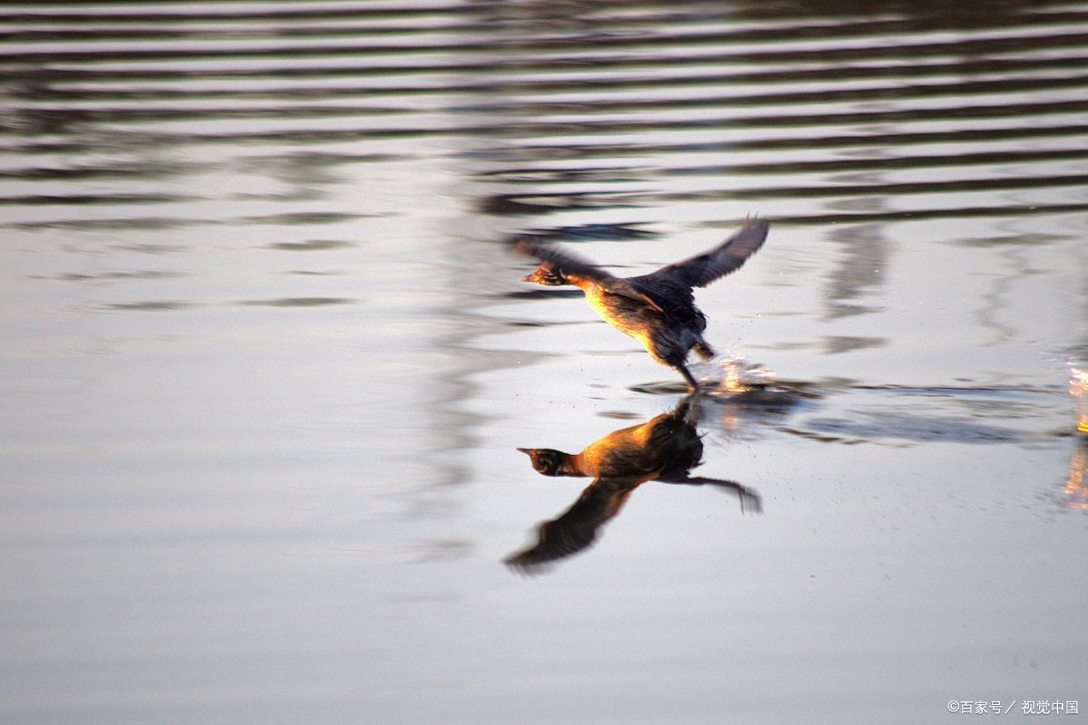 20个《诗经》中神采奕奕、儒雅高洁的男孩名