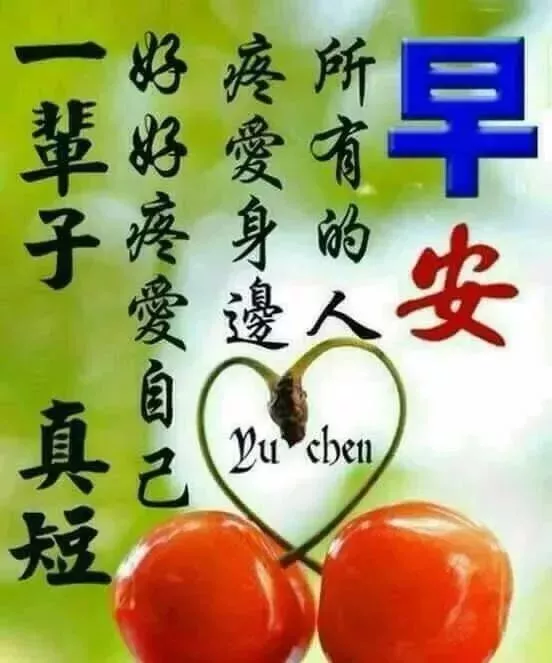 微信群发打招呼话术和技巧（微信群发早上好经典问候语）(6)