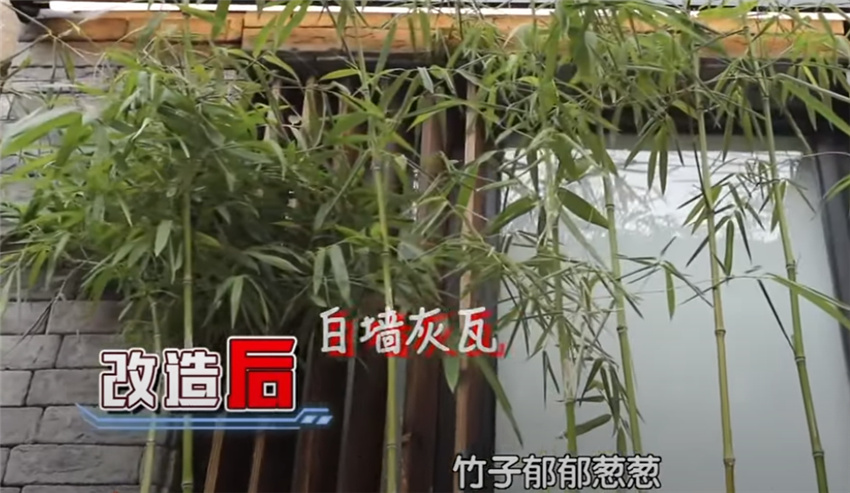 母女蜗居30㎡阁楼房，设计师爆改成3室3厅1厨1卫小别墅！太给力