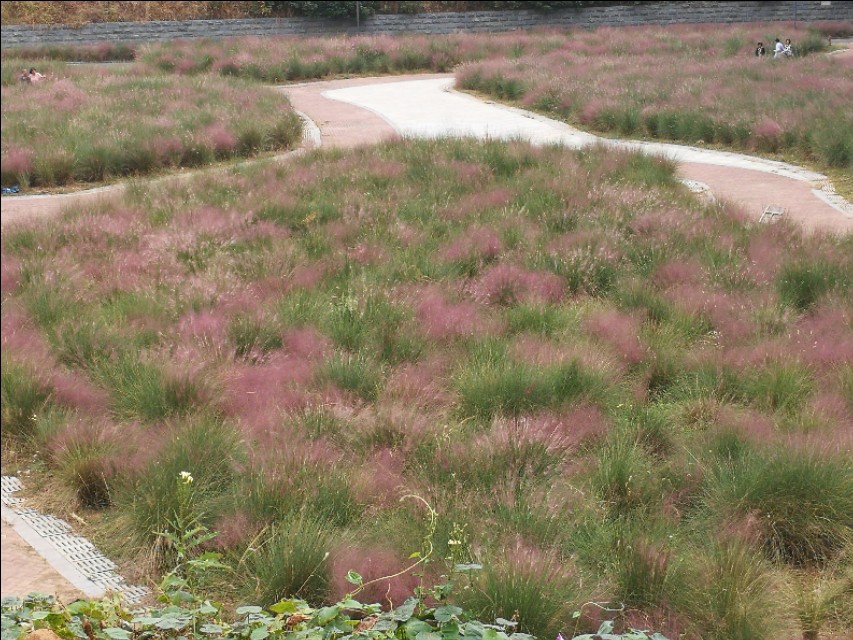 这里不仅有大树、高楼，更有大师——带你参观南京大学仙林校区