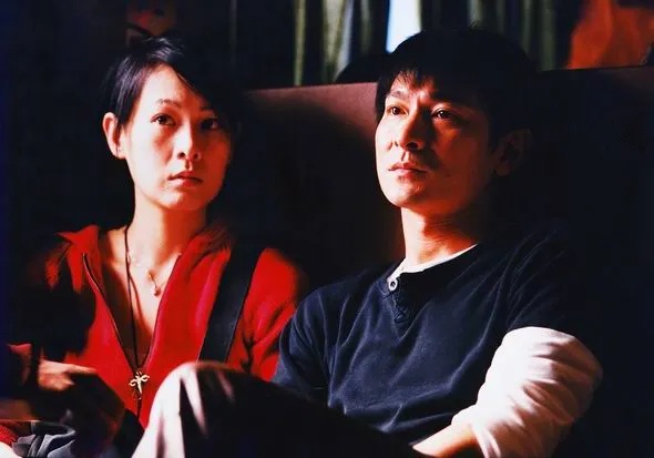 王薄(刘德华饰演)和王丽(刘若英饰演)是一对雌雄大盗,他们手段高超