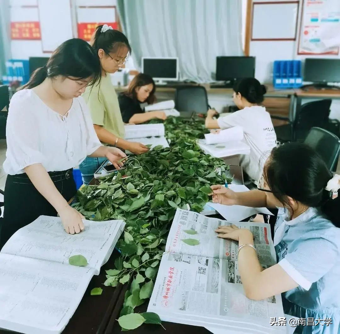 南昌大学录取信息查询通道开启，录取通知书小剧透！