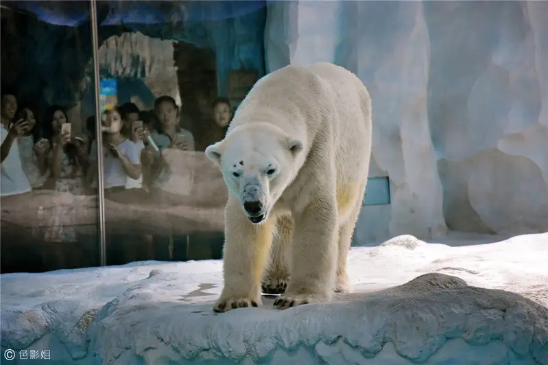 长隆欢乐世界旅游攻略景点必去（三天三夜欢乐长隆之旅）