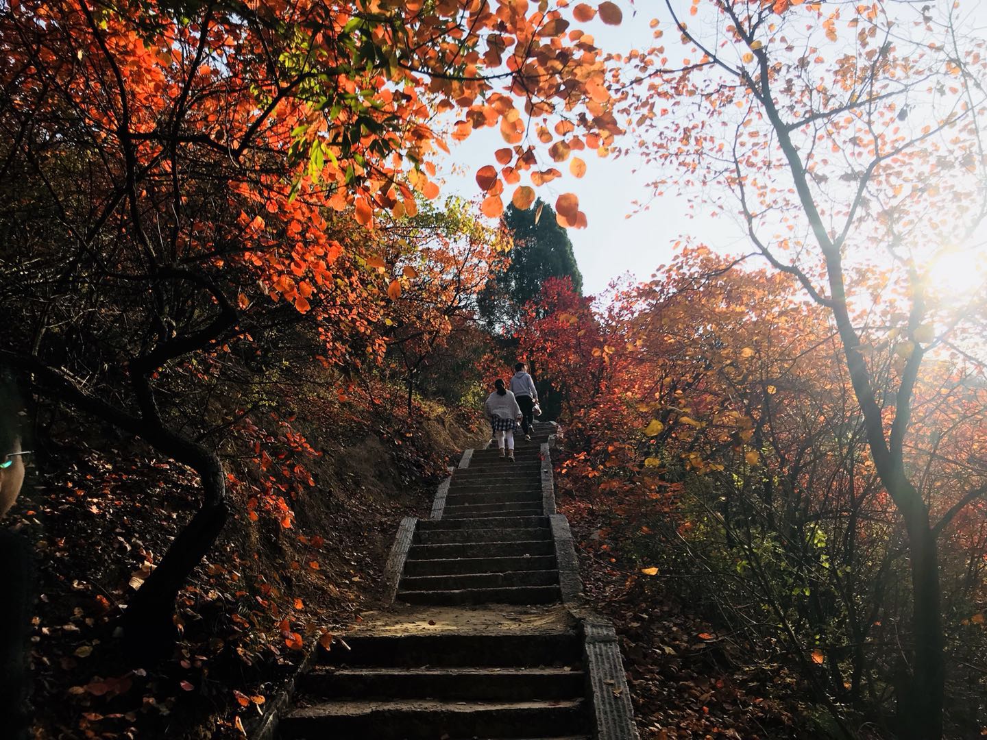 河南观赏最美秋景，去这10个地方就够了，景色绝美