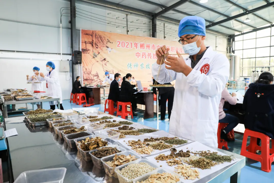 传神农技艺 做时代匠人！全市中医药职业技能中药传统技能竞赛在安仁圆满落幕