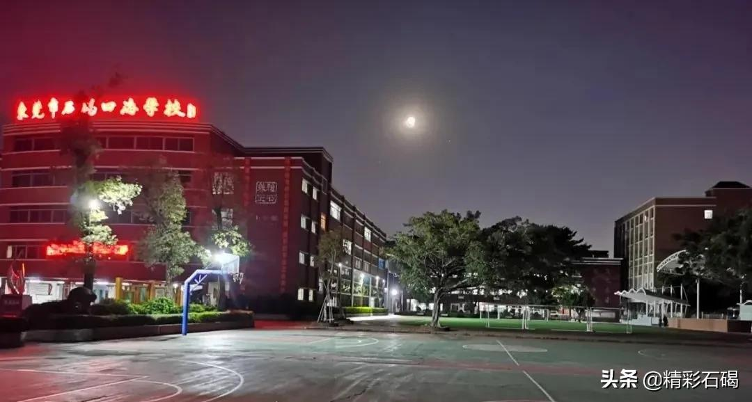 石碣四海学校2021年秋季学期招生简章来了~