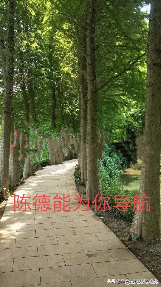 云南省2020年医学类专升本录取统计报告