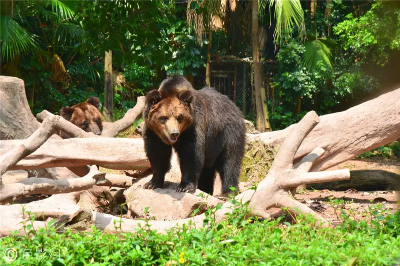 长隆欢乐世界旅游攻略景点必去（三天三夜欢乐长隆之旅）