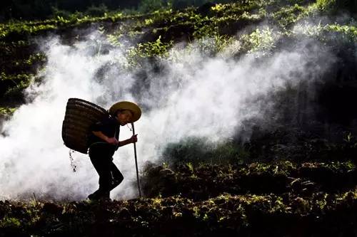 我的母亲|老舍：就寝前，我拆开信，母亲已去世一年了！