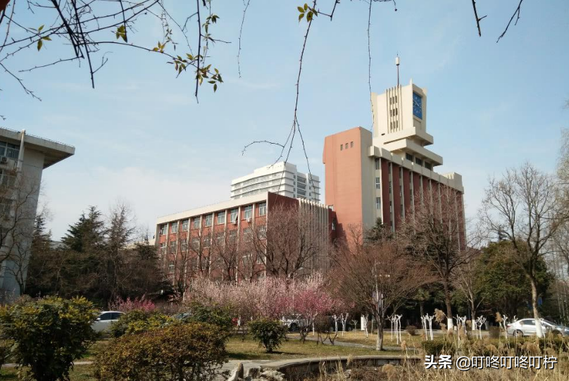 2021年江苏大学排名出炉，南京大学稳坐首位，苏州大学表现亮眼