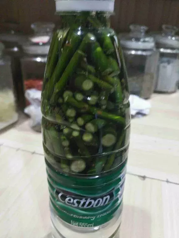 杜鹃茶花插不活,枝条在泥巴里打个滚,大白根呼呼长,新芽猛冒!