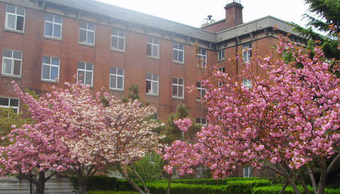 青岛理工大学2015-2018录取分数线