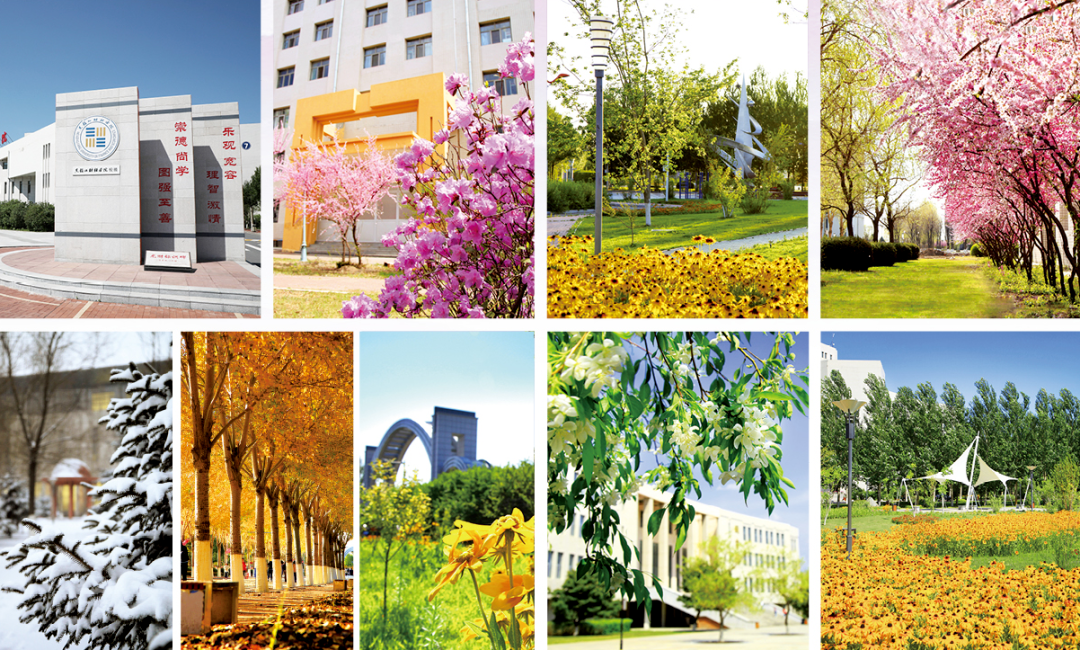 新区高校集结 | 网络铸魂 数字德育，走进黑龙江财经学院！