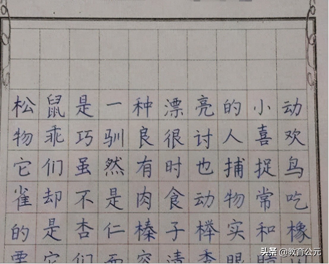 2021年高考：为什么填涂答题卡要用2B铅笔？而不是其他类型的笔