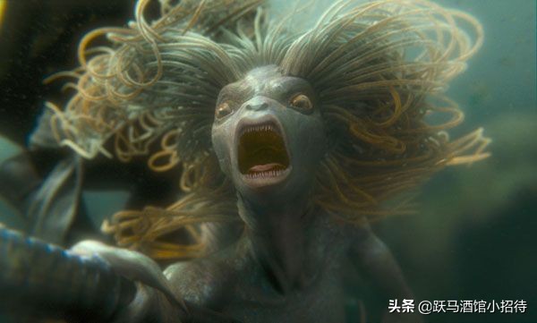 给麻瓜的《神奇动物百科》，魔法世界的动物到底有多神奇（长文）