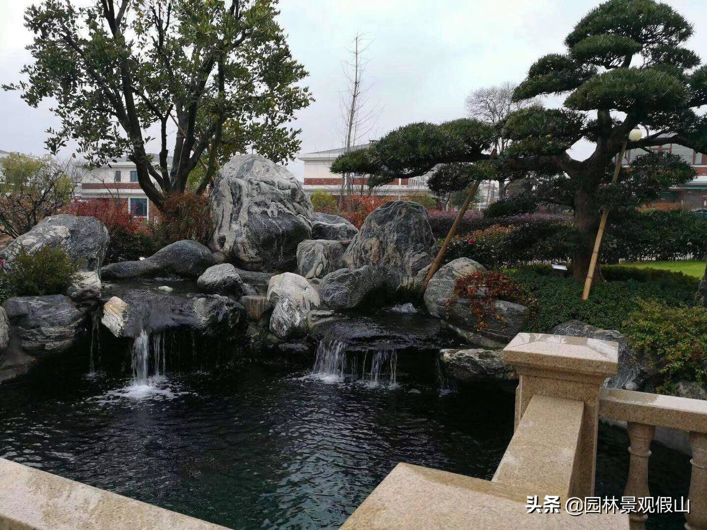 为什么庭院鱼池越来越受欢迎？听听设计师们怎么说