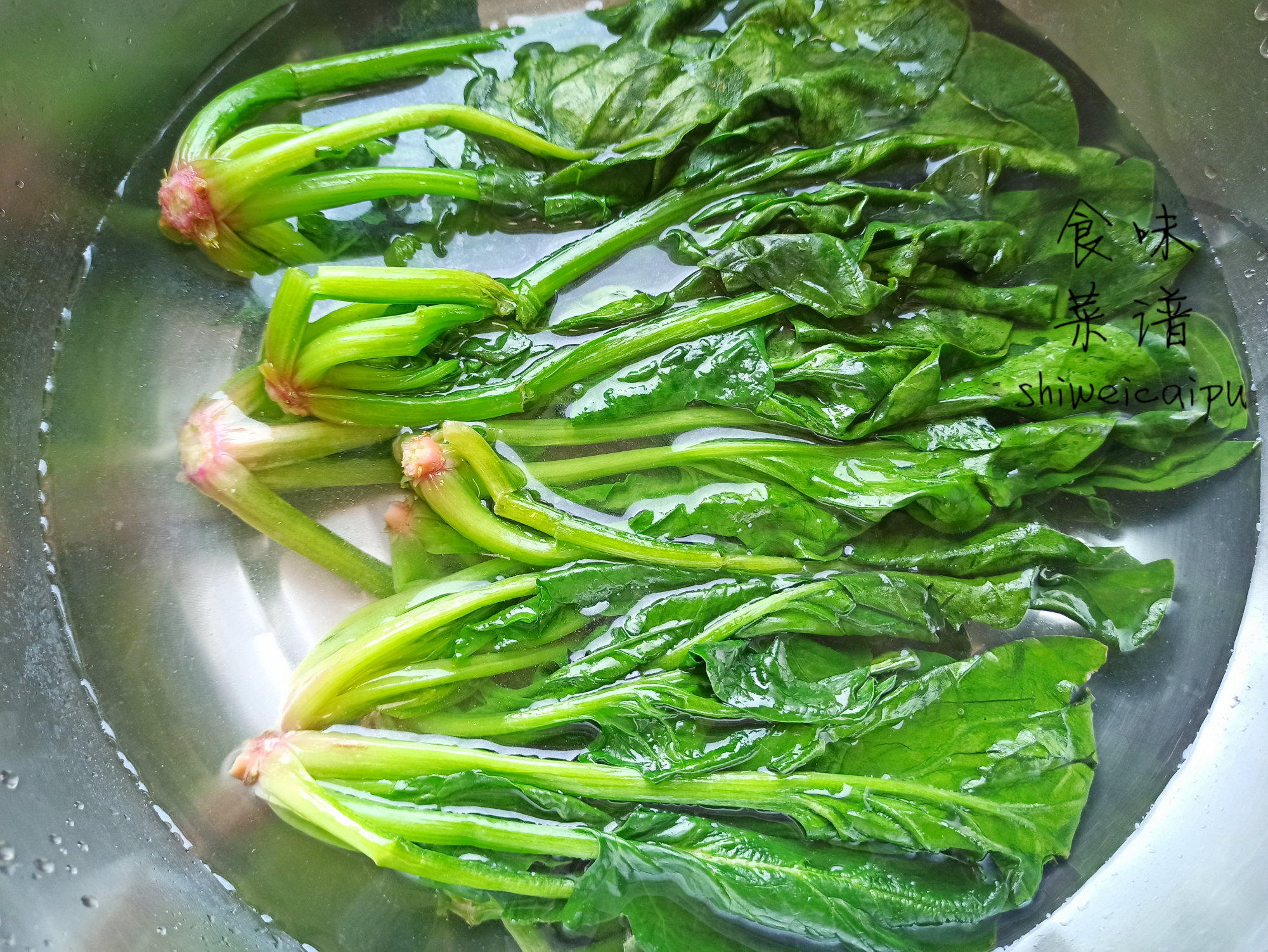 包子餡,包子餡料怎么調好吃