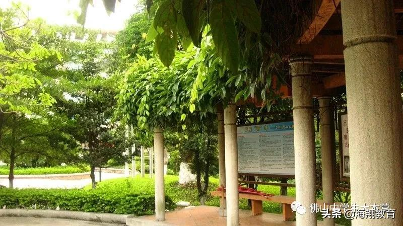 美爆了！佛山8所校园风景大片来袭！哪一间惊艳到你了？