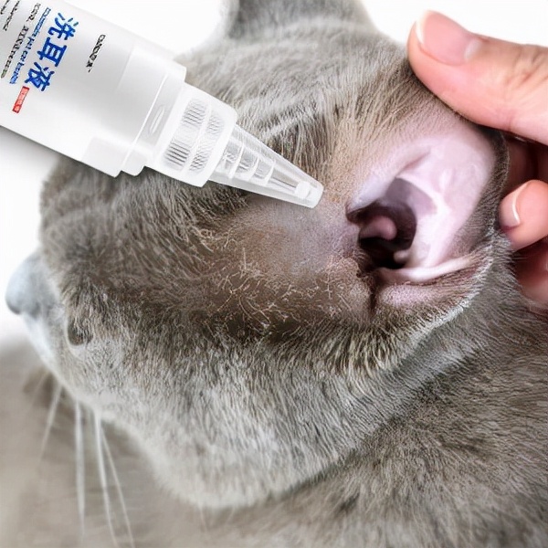驱虫药猫咪哪个牌子好（宠主省钱必备的8种药品推荐）