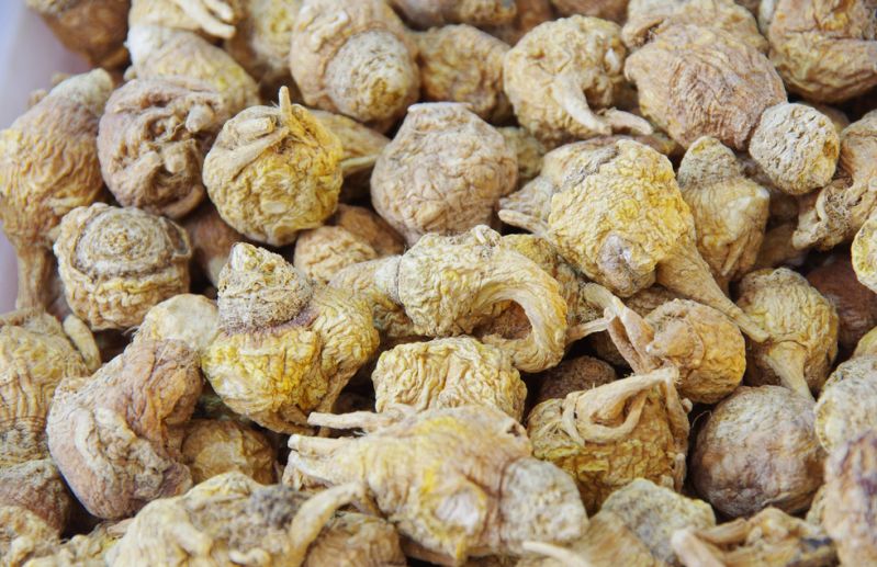 印度神油、玛卡，真能提高性能力？麝香、藏红花，能打胎吗？