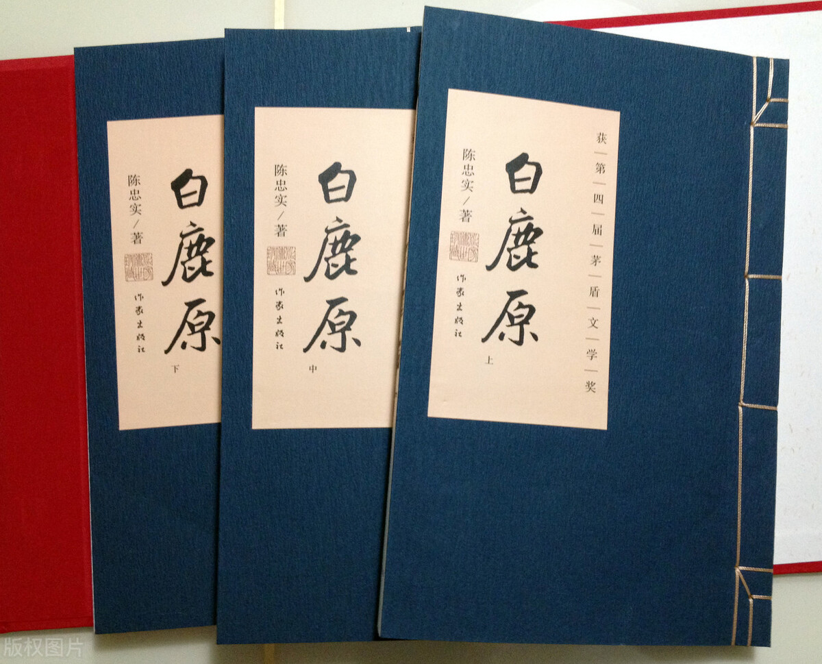 当代4大禁书，曾经被批评为“糟粕”，时隔多年回头看，依旧经典
