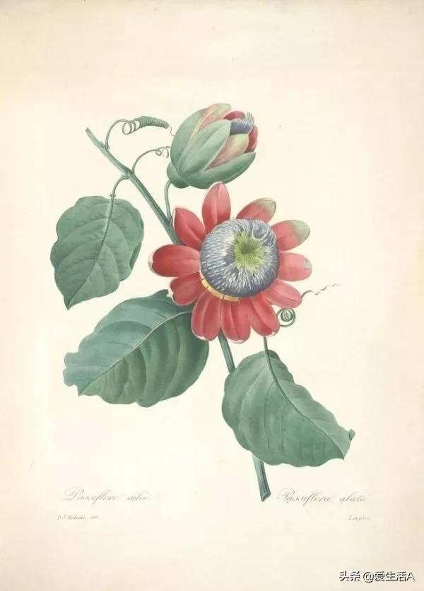 小学语文积累：对联大全，千古绝对集锦（考试会考）