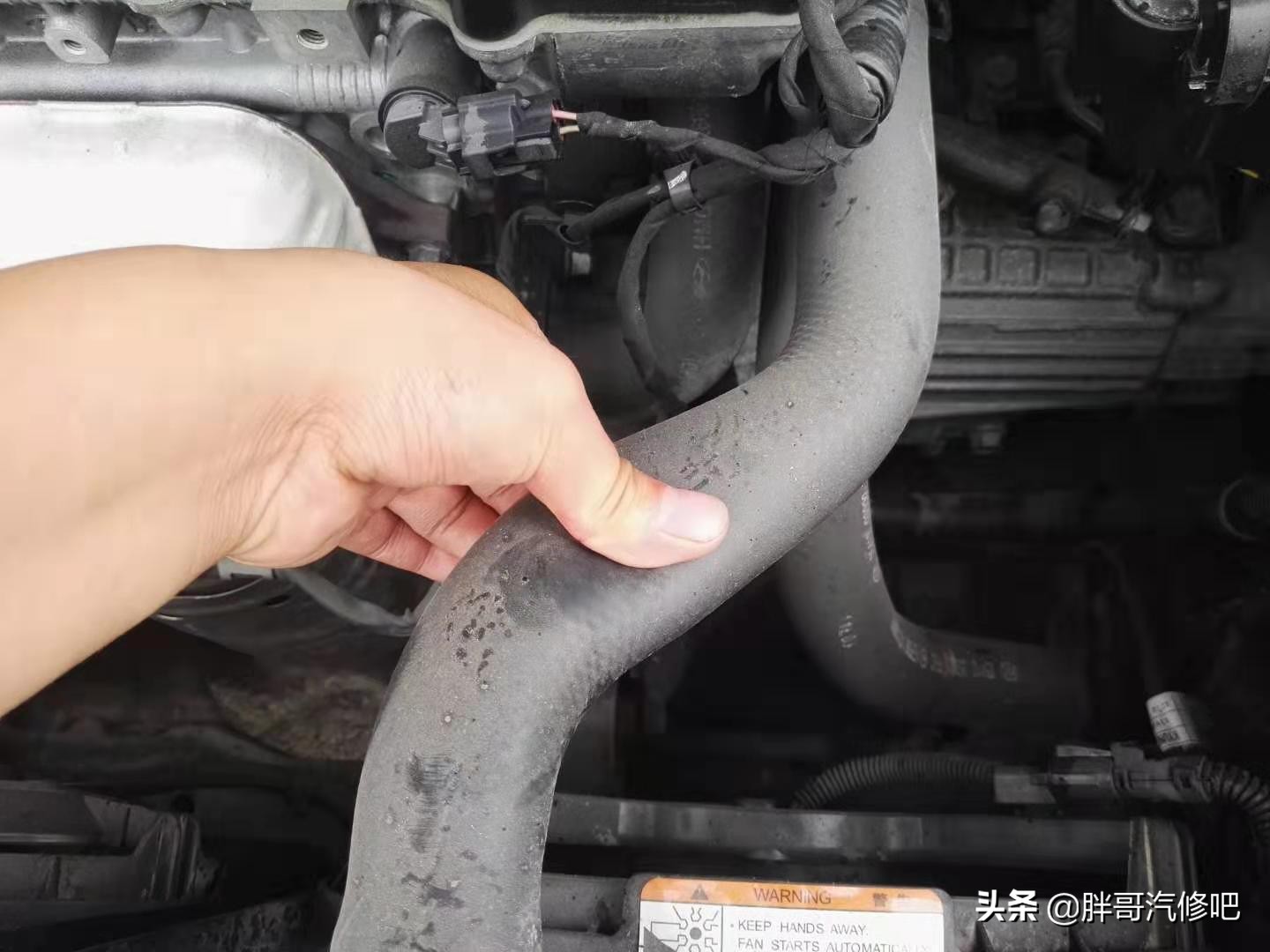 2万多元二手合资代步车推荐，七年车龄的赛拉图值得选择