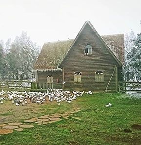 （今日推荐）呼啸山庄 Wuthering Heights